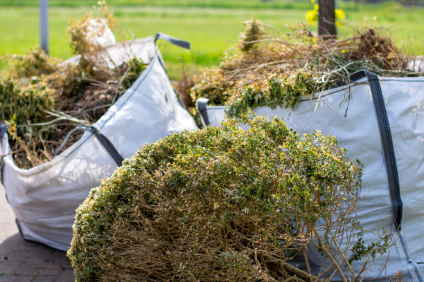 Best Furniture Removal Near Me  in Dayton, OH